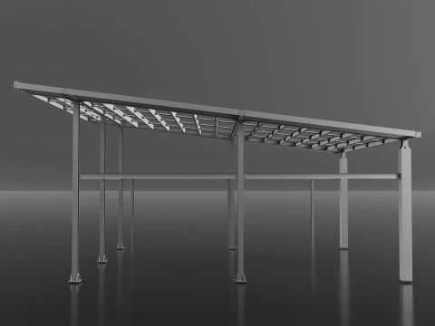 Canopy 3D Model