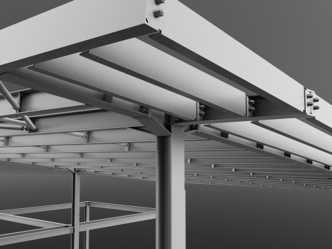 Canopy Model 3D