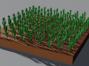 Corn field isometric Modelo 3D