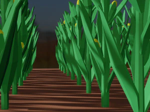 Corn field isometric 3D Model