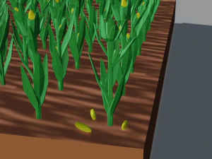 Corn field isometric 3D Model