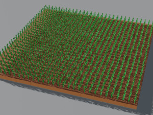 Corn field isometric Modelo 3D