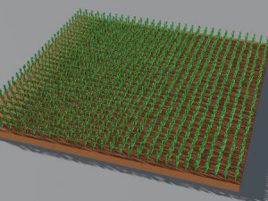 Corn field isometric 3D Model