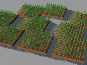 Corn field isometric Modelo 3D