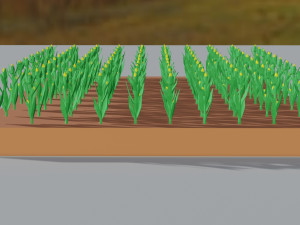 Corn field isometric Modelo 3D