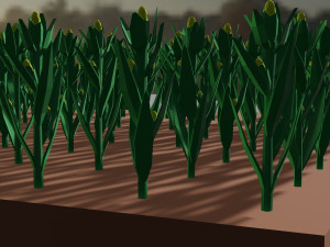 Corn field isometric Modelo 3D