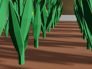 Corn field isometric Modelo 3D