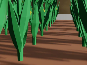 Corn field isometric 3D Model