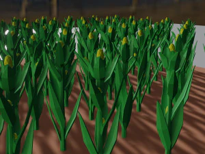 Corn field isometric 3D Model