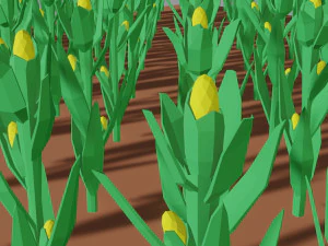 Corn field isometric 3D Model