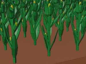 Corn field isometric Modelo 3D