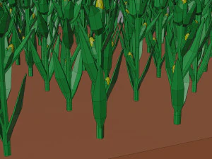 Corn field isometric 3D Model