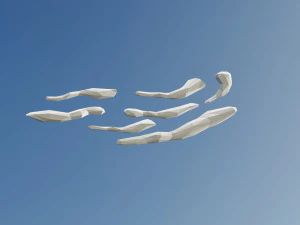 D&uuml;ş&uuml;k Poli Bulut Paketi 3D Model