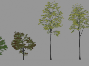 6 Trees 3D Models
