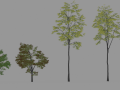 6 Trees 3D Models