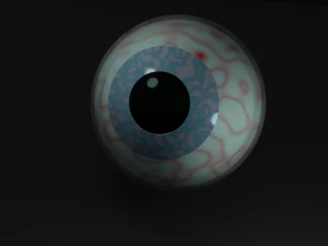Blauwroze oog 3D Model