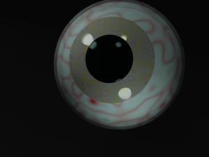 Yellow-brown eye 3Dモデル