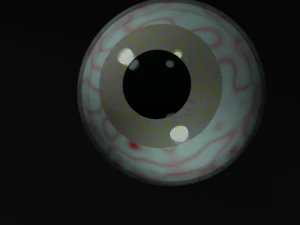 Geelbruin oog 3D Model