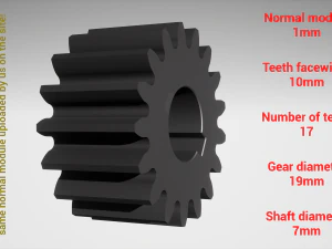 Cylindrical gear - paired - z17 m1 D19 d7 3D Print Model