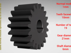 Cylindrical gear - paired - z19 m1 D21 d6 3D Print Model