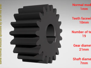 Cylindrical gear - paired - z19 m1 D21 d7 3D Print Model