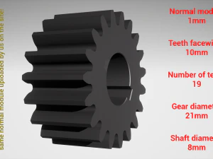Cylindrical gear - paired - z19 m1 D21 d8 3D Print Model