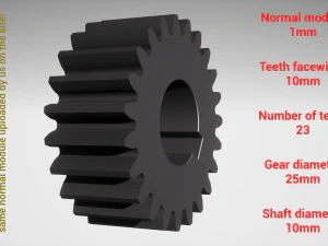 Cylindrical gear - paired - z23 m1 D25 d10 3D Print Model