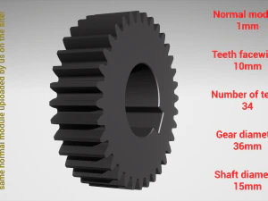 Cylindrical gear - paired - z34 m1 D36 d15 3D Print Model
