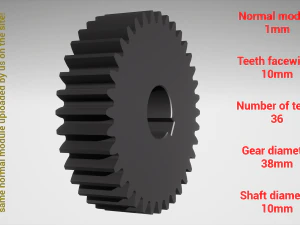 Cylindrical gear - paired - z36 m1 D38 d10 3D Print Model