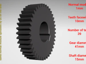Cylindrical gear - paired - z39 m1 D41 d15 3D Print Model