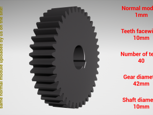 Cylindrical gear - paired - z40 m1 D42 d10 3Dプリントモデル