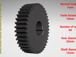 Cylindrical gear - paired - z40 m1 D42 d12 3D Print Model