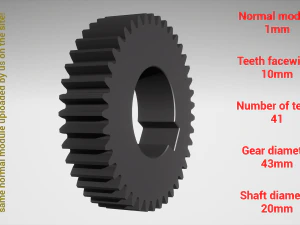 Cylindrical gear - paired - z41 m1 D43 d20 3D Print Model