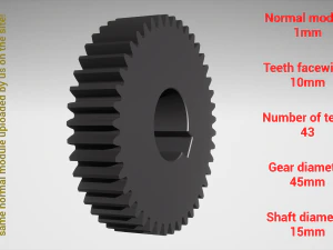 Cylindrical gear - paired - z43 m1 D45 d15 3D Print Model