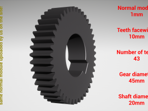 Cylindrical gear - paired - z43 m1 D45 d20 3D 打印模型