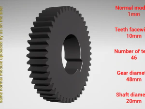 Cylindrical gear - paired - z46 m1 D48 d20 3D Print Model