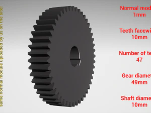 Cylindrical gear - paired - z47 m1 D49 d10 3D Print Model