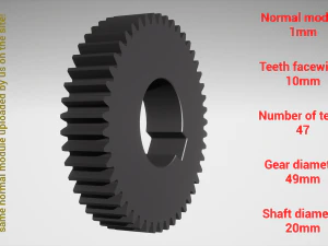 Cylindrical gear - paired - z47 m1 D49 d20 3D Print Model