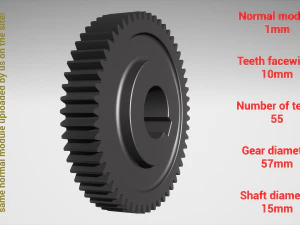 Cylindrical gear - paired - z55 m1 D57 d15 3D Print Model