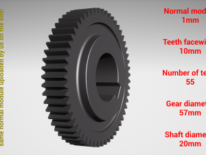 Cylindrical gear - paired - z55 m1 D57 d20 3D-Druckmodell