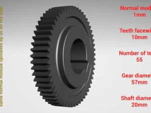 Cylindrical gear - paired - z55 m1 D57 d20 3D Print Model