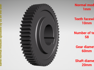 Cylindrical gear - paired - z58 m1 D60 d20 3D Print Model