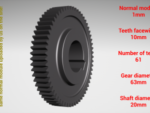 Cylindrical gear - paired - z61 m1 D63 d20 Model Cetak 3D