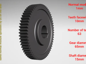 Cylindrical gear - paired - z63 m1 D65 d15 3D Print Model