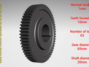 Cylindrical gear - paired - z63 m1 D65 d20 3D Print Model