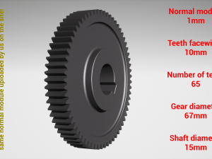 Cylindrical gear - paired - z65 m1 D67 d15 3D Print Model