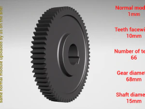 Cylindrical gear - paired - z66 m1 D68 d15 3D Print Model