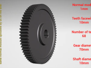 Cylindrical gear - paired - z68 m1 D70 d10 3D Print Model