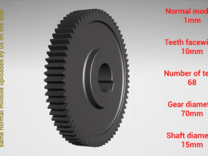 Cylindrical gear - paired - z68 m1 D70 d15 3D Print Model