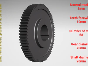 Cylindrical gear - paired - z68 m1 D70 d20 3D Print Model